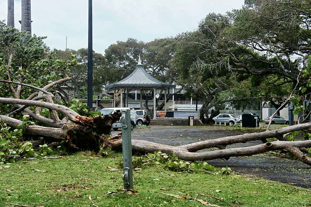 Le puissant cyclone Belal traverse l’île de La Réunion