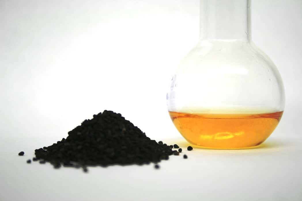 Habba sawda : sur les traces de la graine miraculeuse de nigelle
