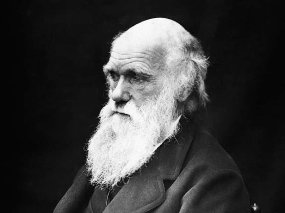 Nadim Ghodbane : comment le post-humanisme a tué Darwin
