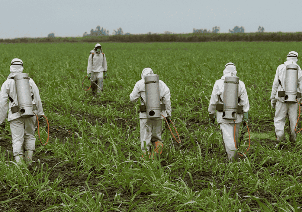 Le glyphosate, cancérigène présent dans l’alimentation, prolongé pour 5 ans par l’UE
