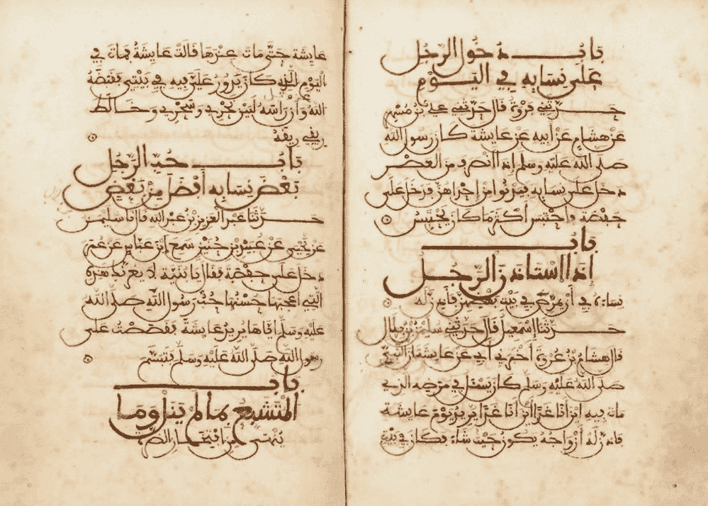 Angles morts : les origines de la méthode historico-critique du hadith