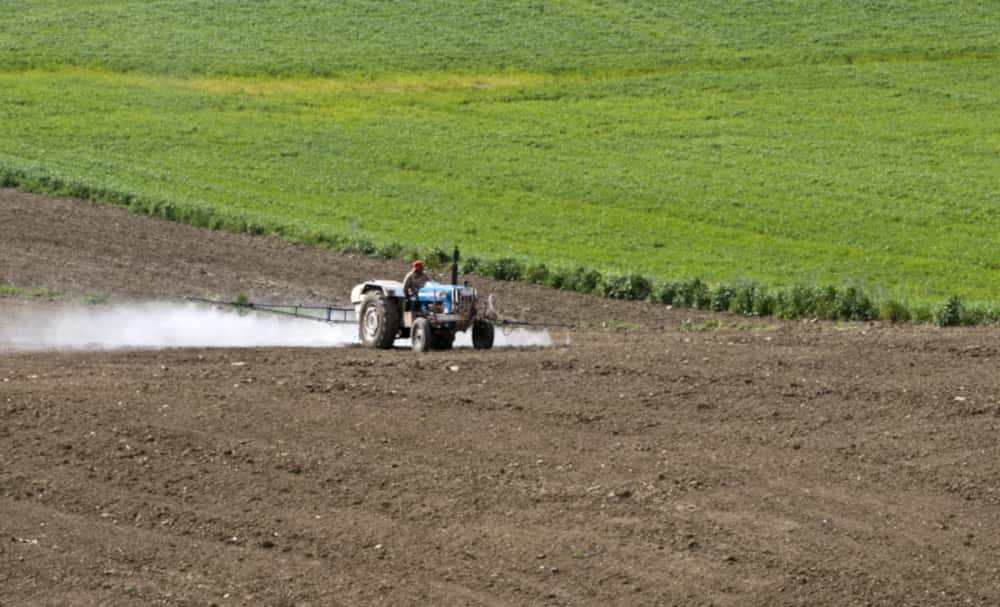Une étude s'alarme de l'augmentation des pesticides dans nos fruits