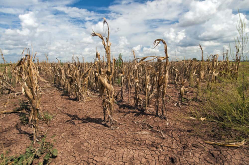 Réchauffement climatique : des scénarios catastrophes sous-explorés par le GIEC