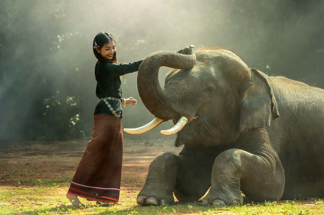 Les animaux sont-ils au service de l’Homme ?