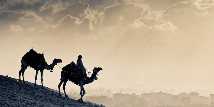 Zayd Ibn Haritha, le bien aimé du Prophète ﷺ&nbsp;