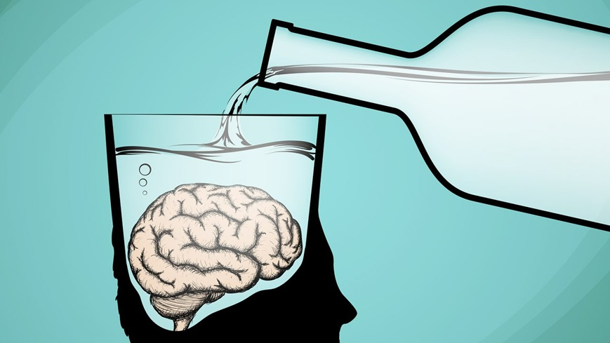 Étude : un verre d’alcool par jour suffit à endommager le cerveau