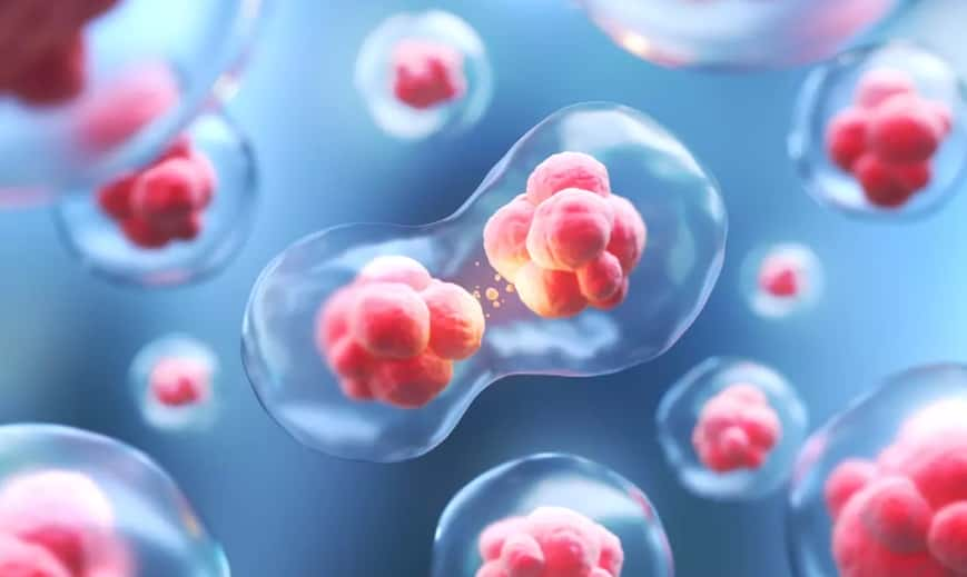 Des scientifiques découvrent un « troisième état » entre la vie et la mort