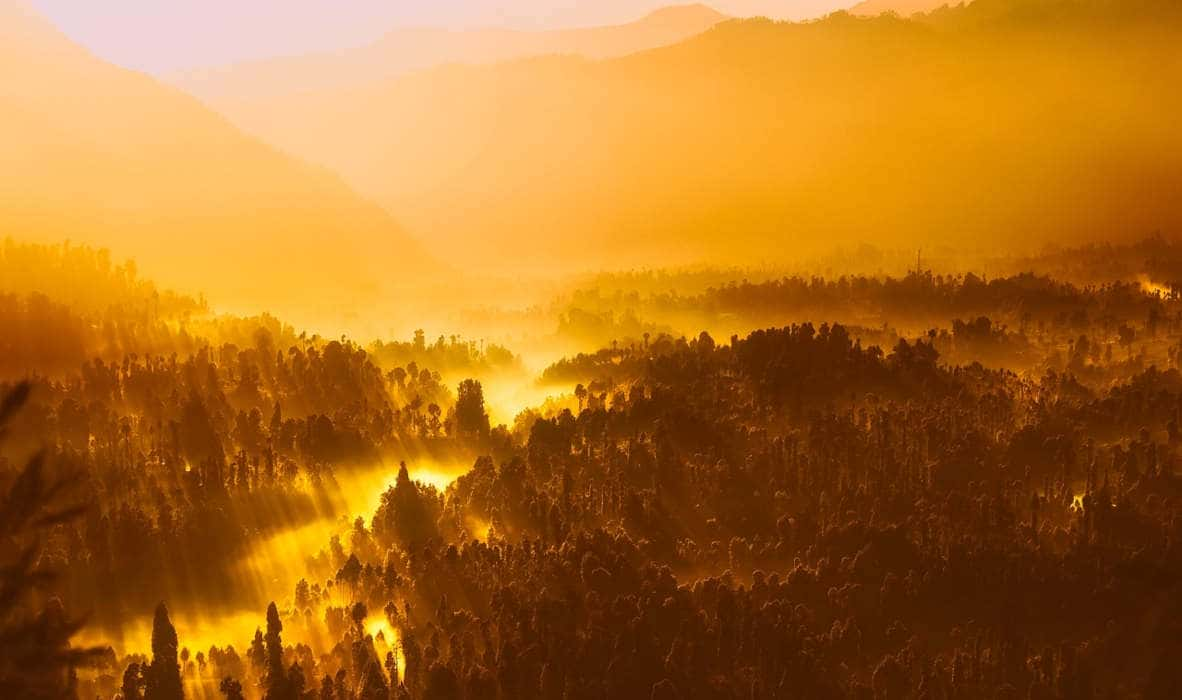 « Allâh est la Lumière des cieux et de la terre »