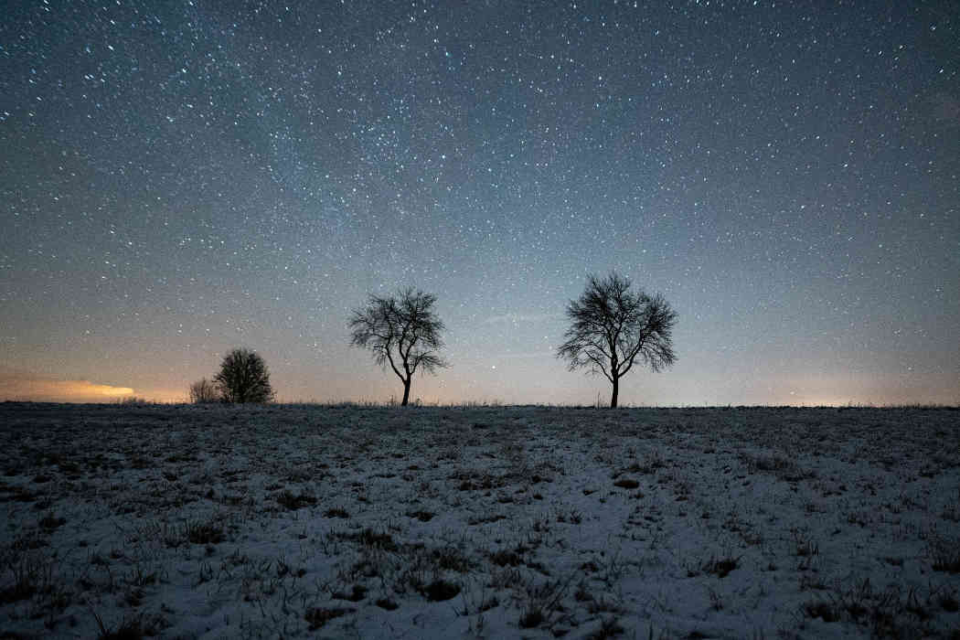 Face à l'extinction de la conscience, que valons nous ?