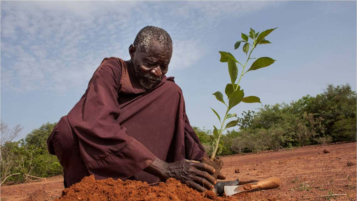 Burkina Faso : Décès de Yacouba Sawadogo, “l’homme qui arrête le désert”